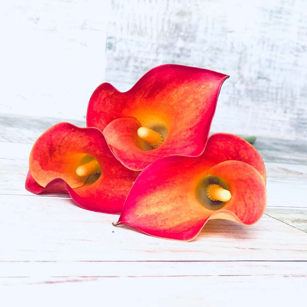 Calas, flor del calor - Florster