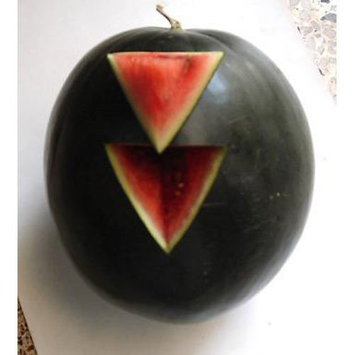 Small Shining Light watermelon