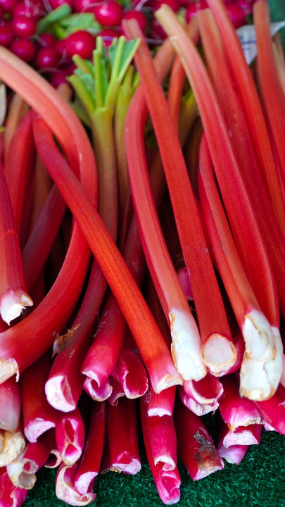 RHUBARB 'Crimson' seeds – Boondie Seeds