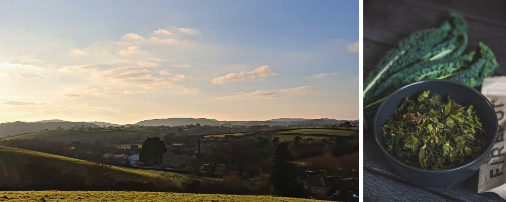 Shop local, west Dorset