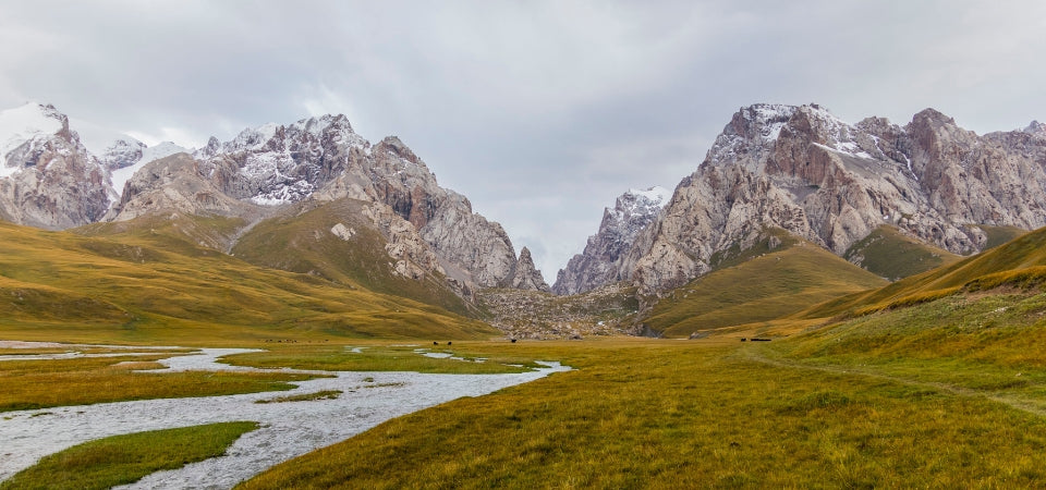 Greener land around the mountains