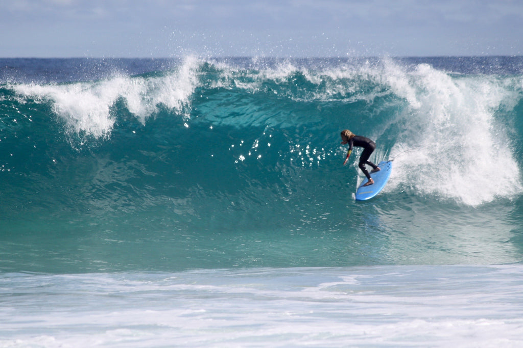 Rabbits catch surf