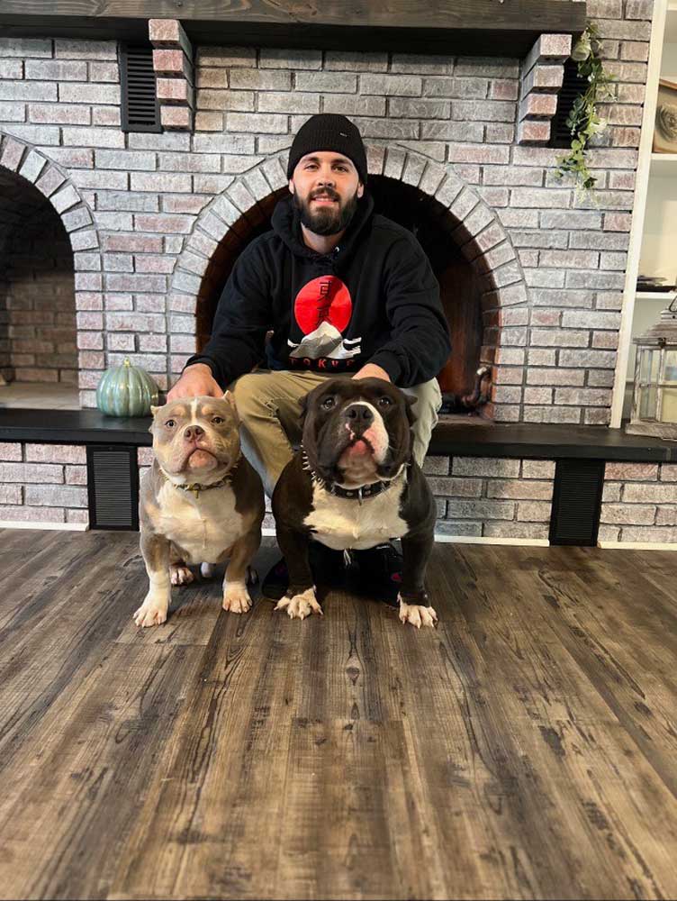 Bucks County Bullies: Extreme Pocket American Bully Breeder in New Jersey