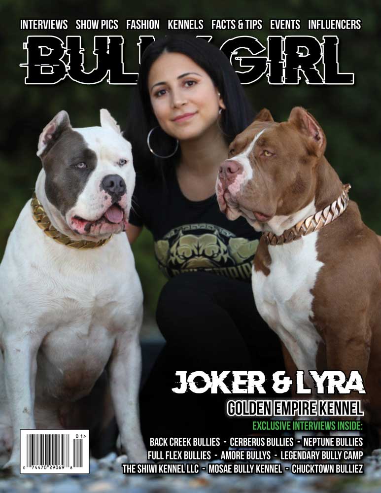 Bully Girl Magazine Issue 100 - 12 Year Anniversary Edition (Last