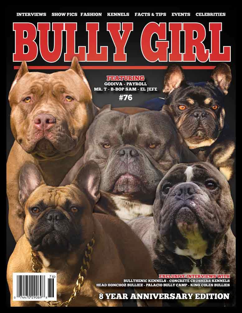 Bully Girl Magazine Issue 100 - 12 Year Anniversary Edition (Last Few  Copies)