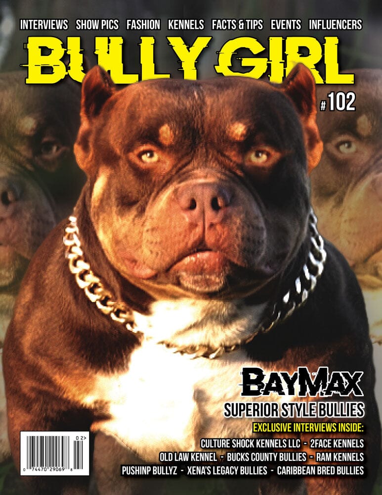 Bully Girl Magazine Issue 100 - 12 Year Anniversary Edition (Last Few  Copies)