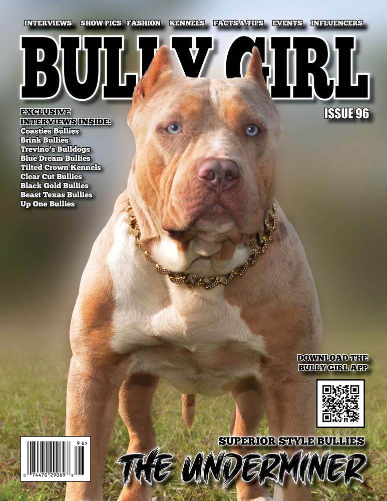 Bully Girl Magazine Issue 100 - 12 Year Anniversary Edition (Last Few  Copies)