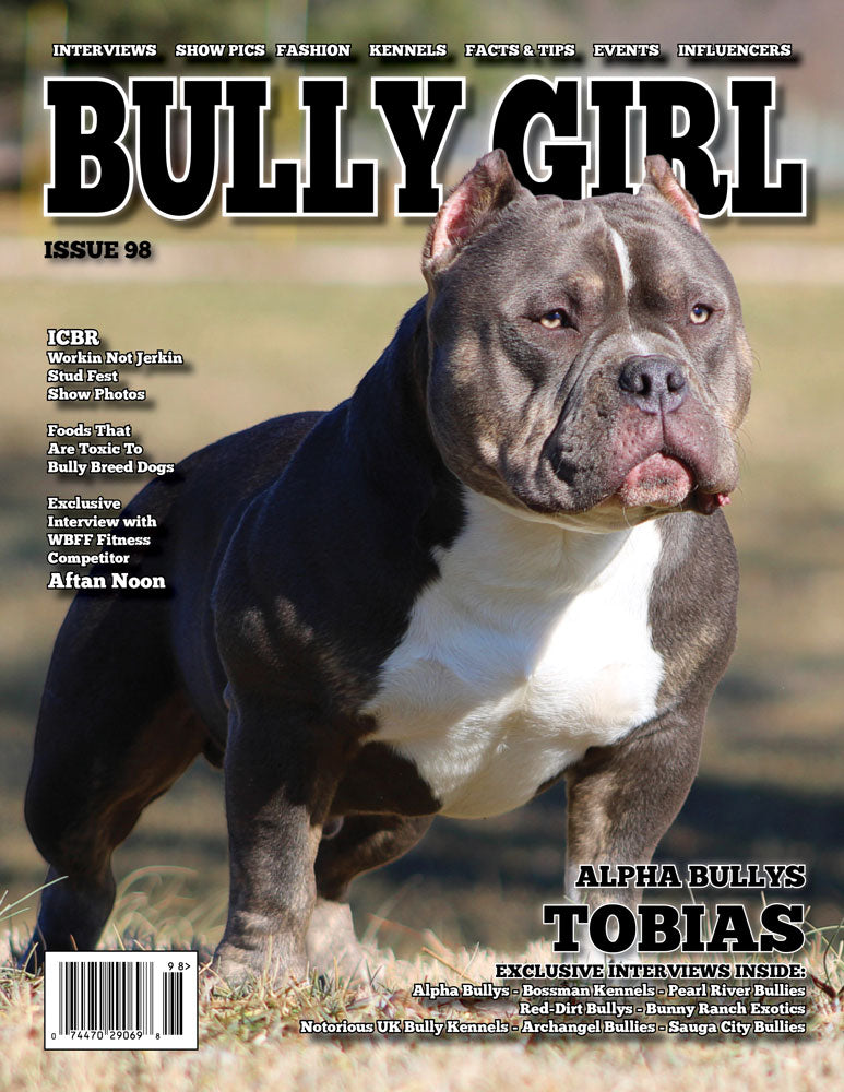 Bully Girl Magazine Issue 100 - 12 Year Anniversary Edition (Last Few  Copies)