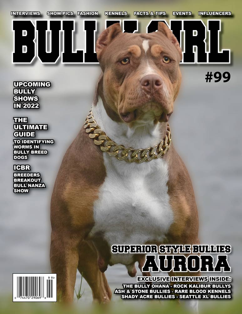 Bully Girl Magazine Issue 100 - 12 Year Anniversary Edition (Last Few  Copies)