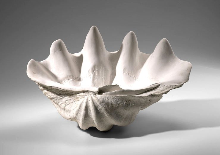 Giant Clamshell Centerpiece Nautical Luxuries