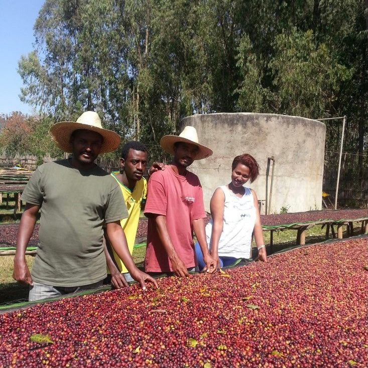 Ethiopia Origin location of coffee