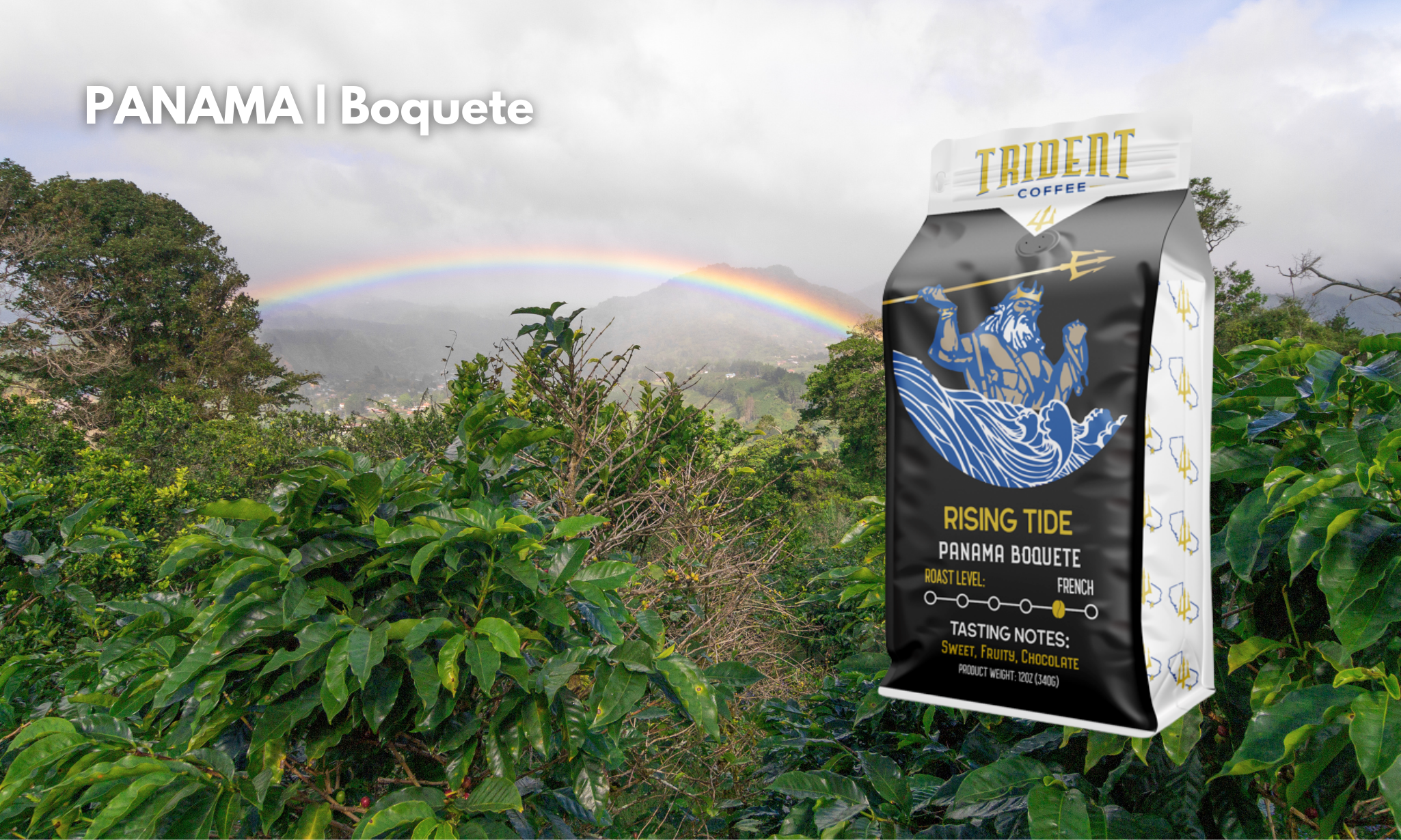 Trident coffee - coffee farms - roasted coffee - rising tide