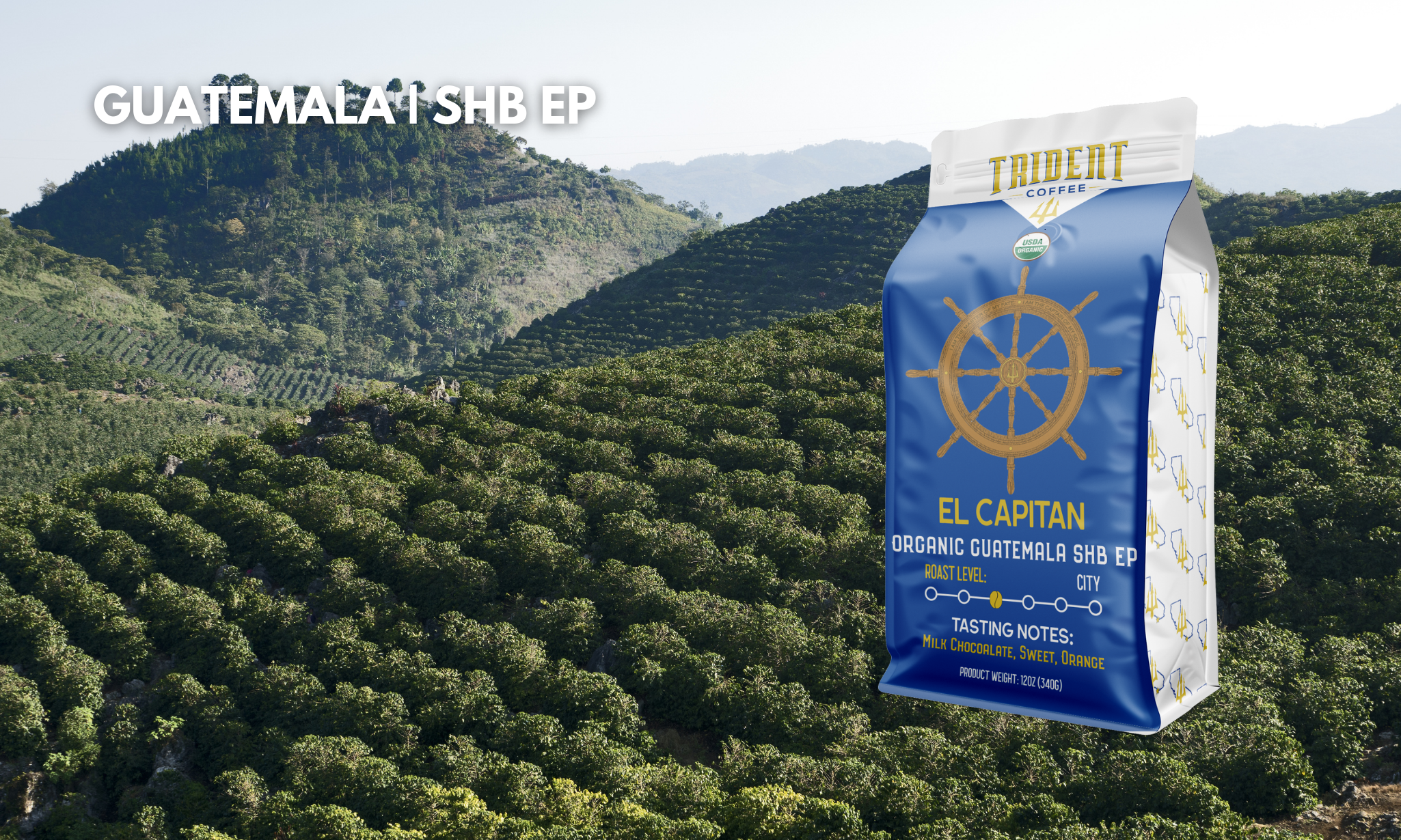 coffee farm - El Capitan - roasted coffee