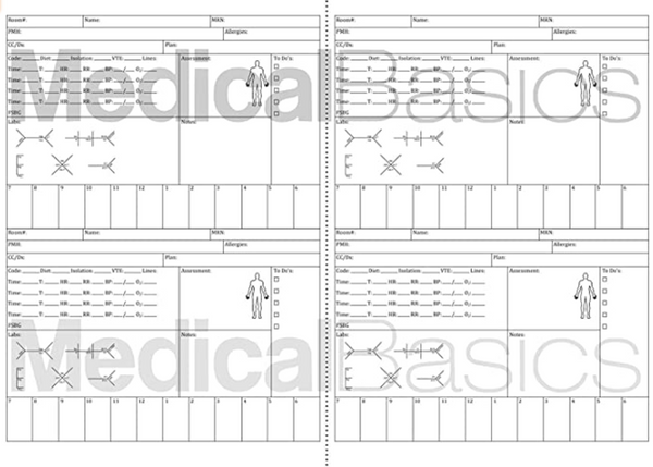 Nursing Brain Sheet Multiple Patient Notebook - Nurse and CNA Report