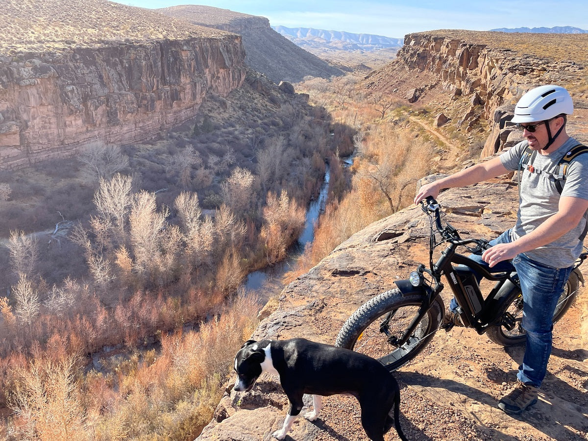 A biker and a dog are near a cliff’s edge, overlooking a canyon with a river