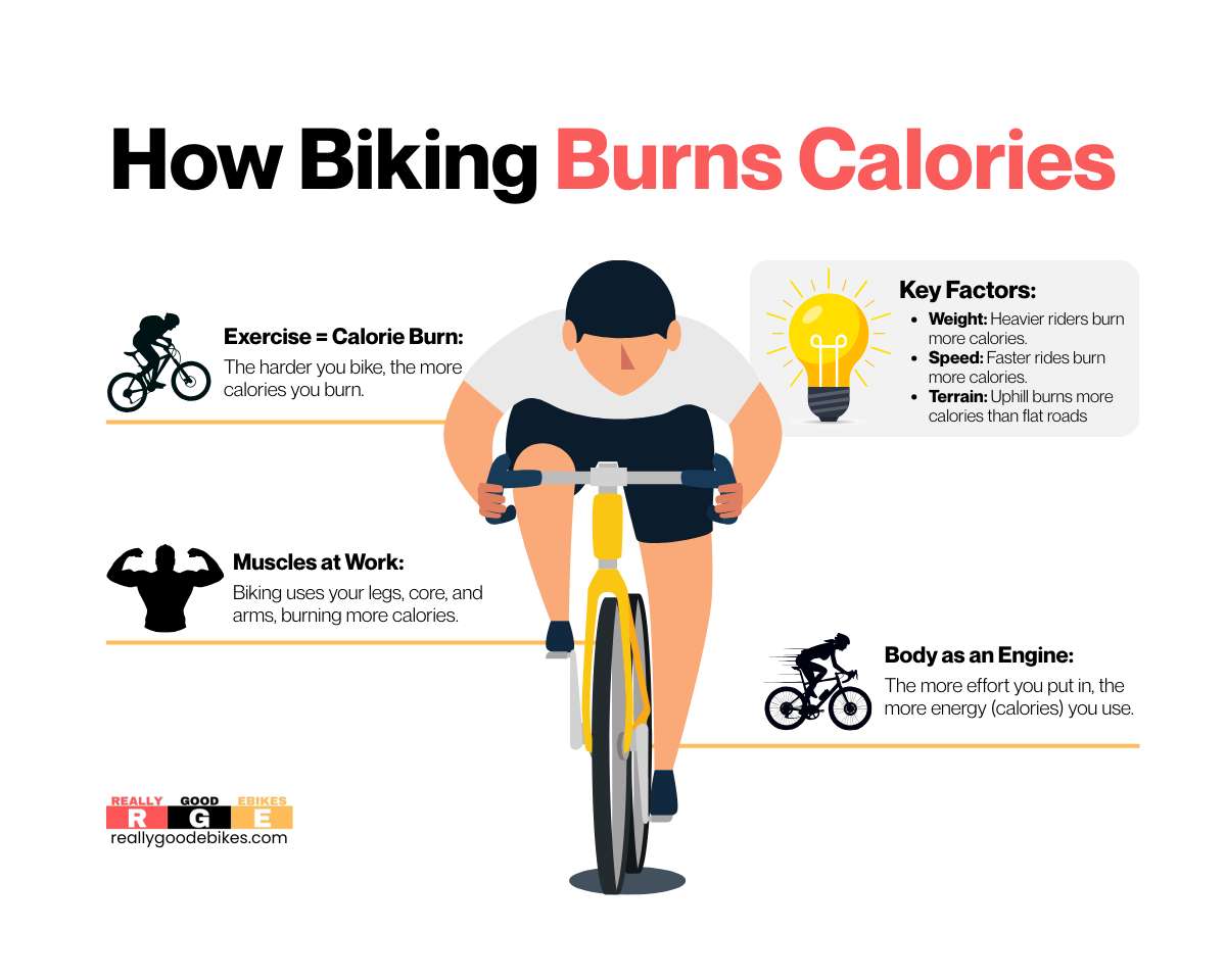How Biking Burns Calories