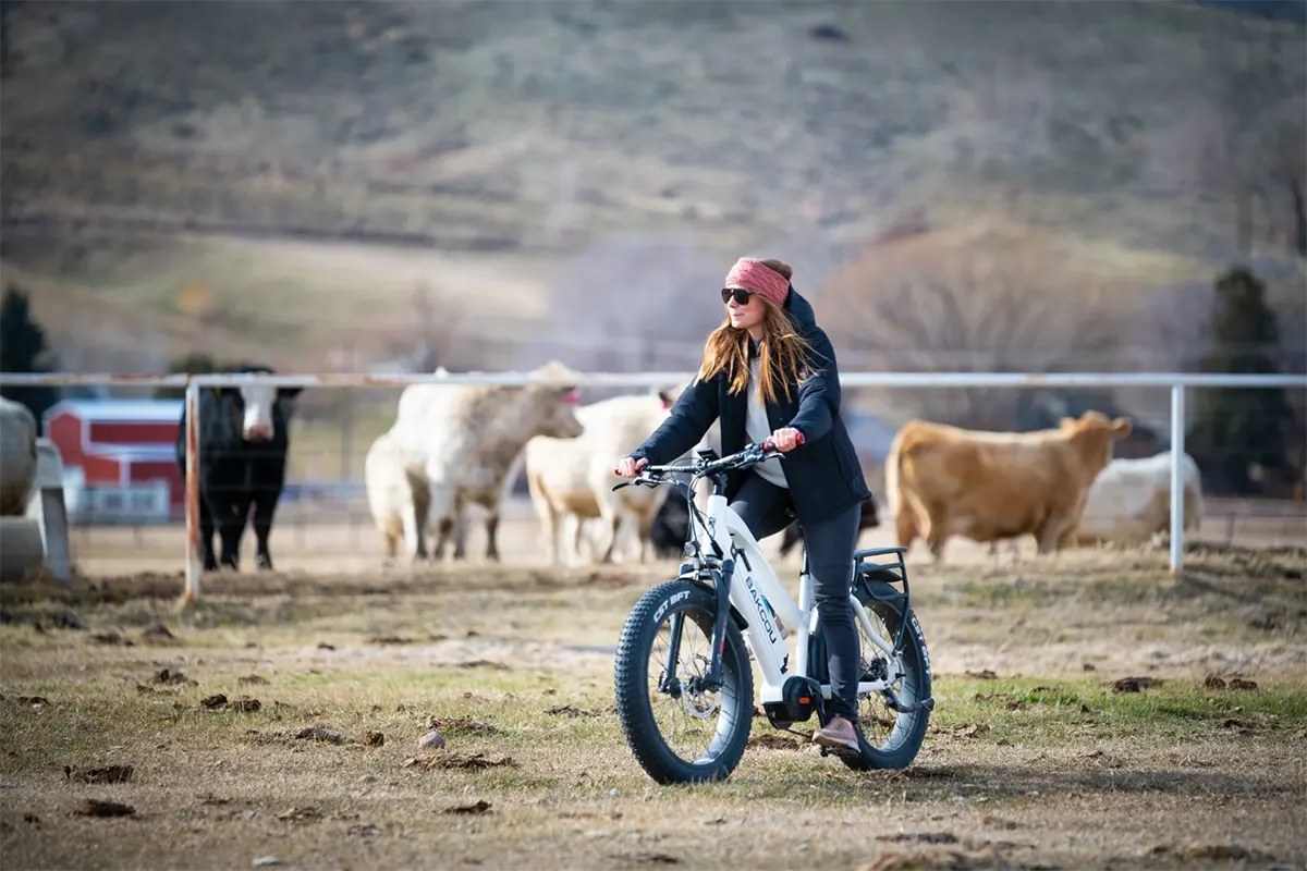 Right Fat Tire Ebike For Your Daily Commute