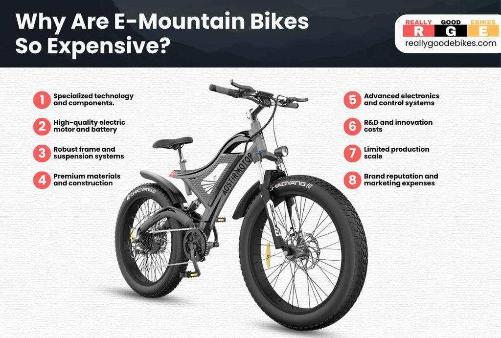 The reasons why e-mountain bikes are so expensive.