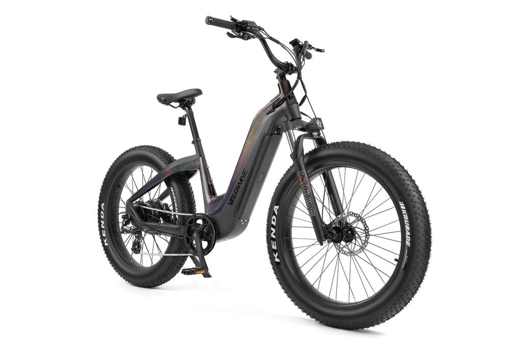 velowave grace fat tire step thru electric bike.