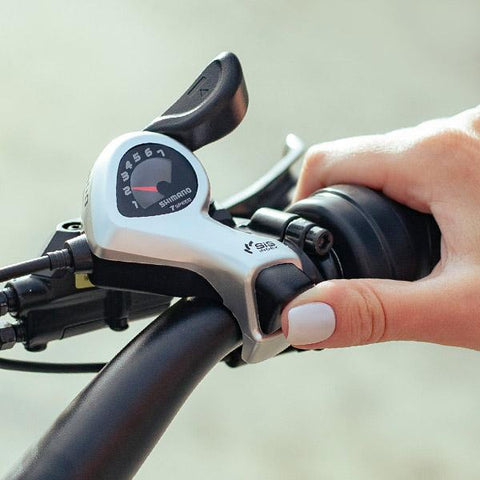 dirwin pioneer 7-speed shimano gear system handlebar controls