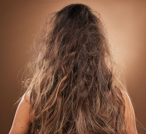 backview of woman's tangled hair