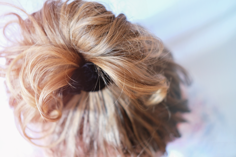 upview of woman's bun