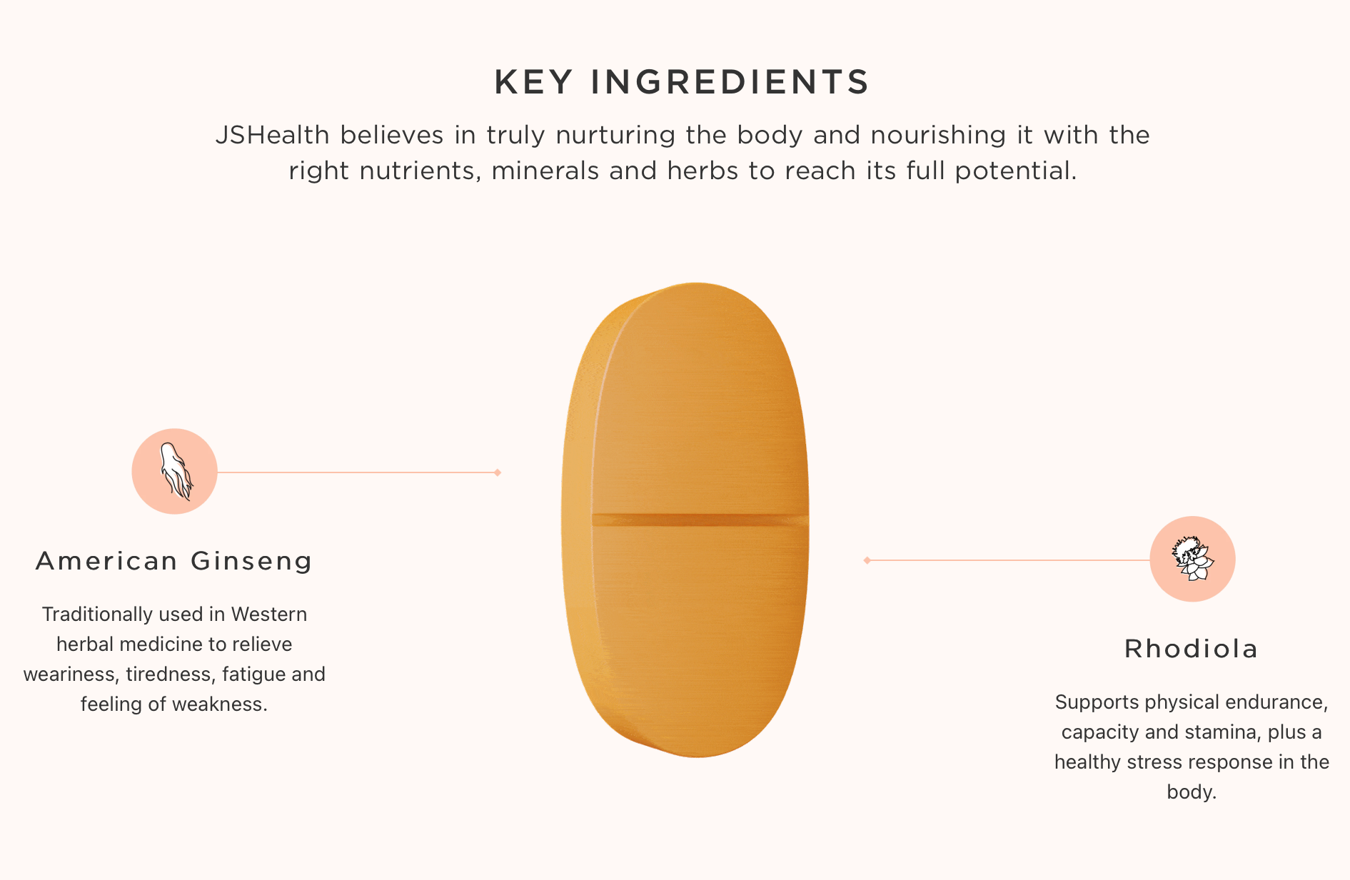 JSHealth AM + Energy Formula | MVMNT LMTD