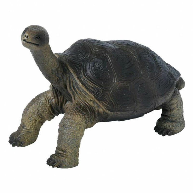 pinta tortoise