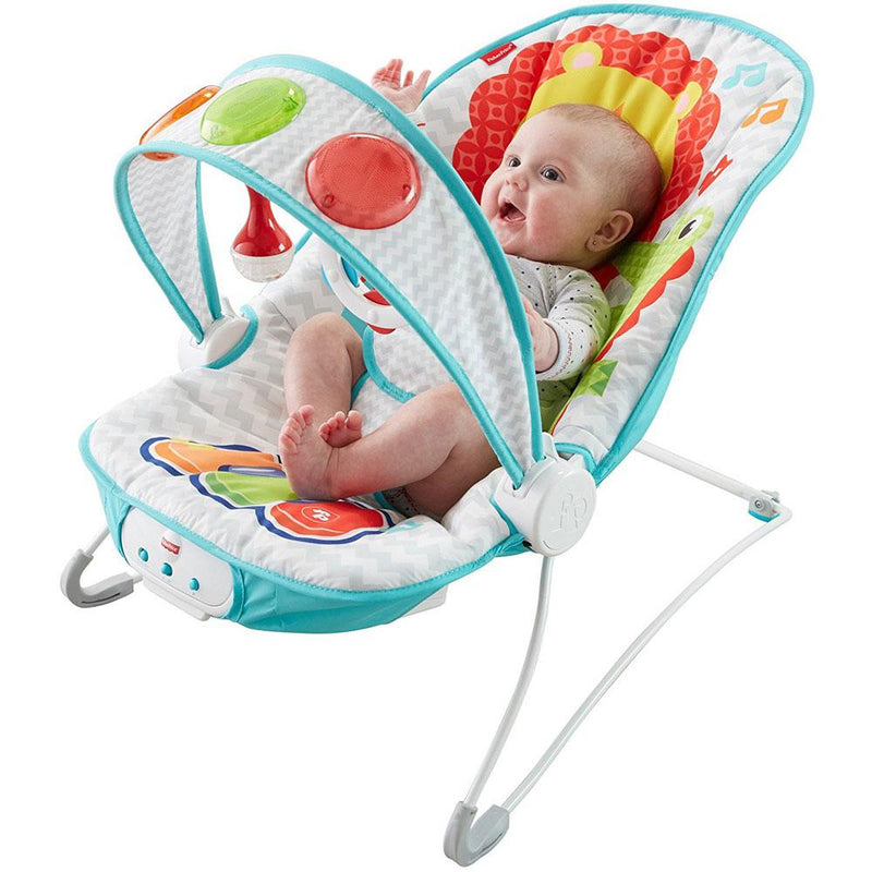 fisher price bouncer australia