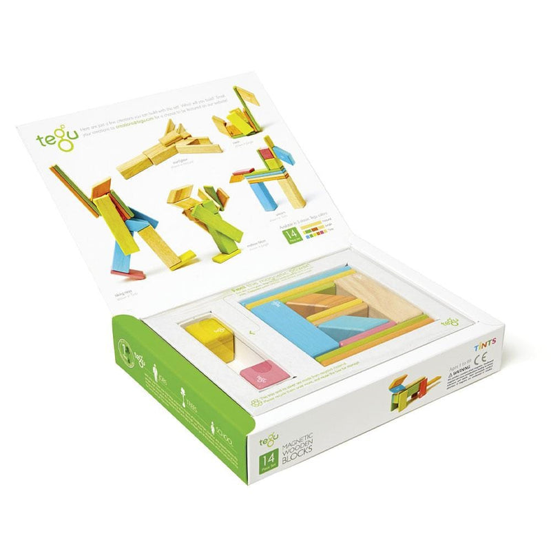 tegu wooden blocks