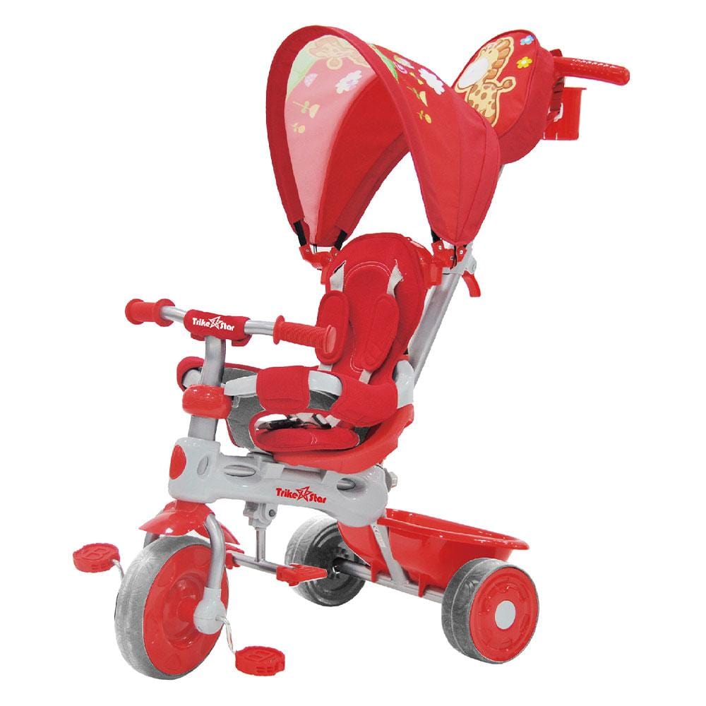 trike star 3 in 1