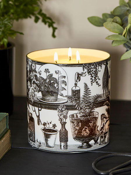 The Botanist 3 wick ceramic candle