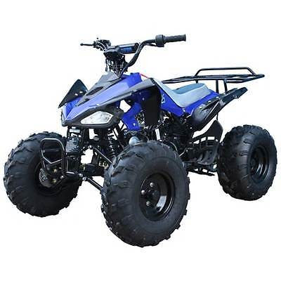 tao tao atv 1205cc