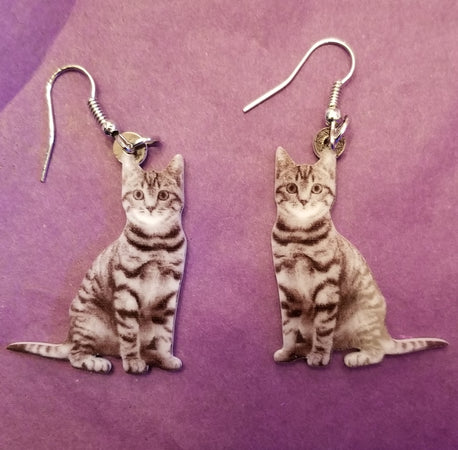 40++ Silver tabby cat earrings Cat Images [HD]