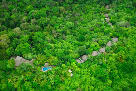 Lapa Rios Rainforest Bunglows