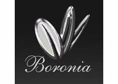 Boronia