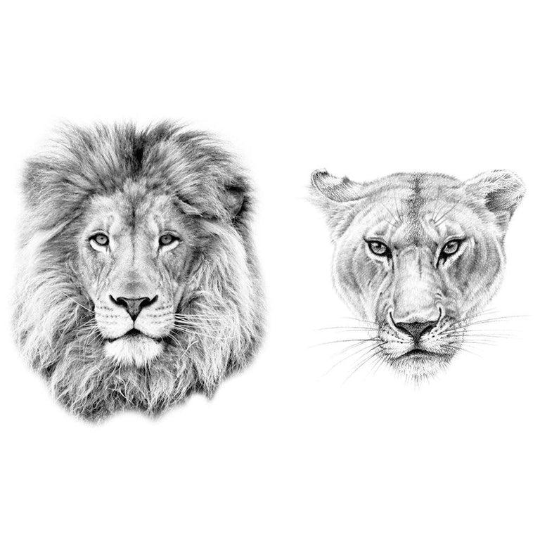 Tatouages Ephemeres Animaux Tatouages Temporaires Ultra Realistes Artwear Tattoo