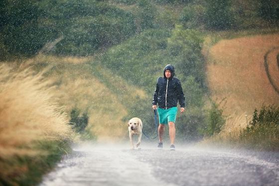 is it ok to walk dog in rain