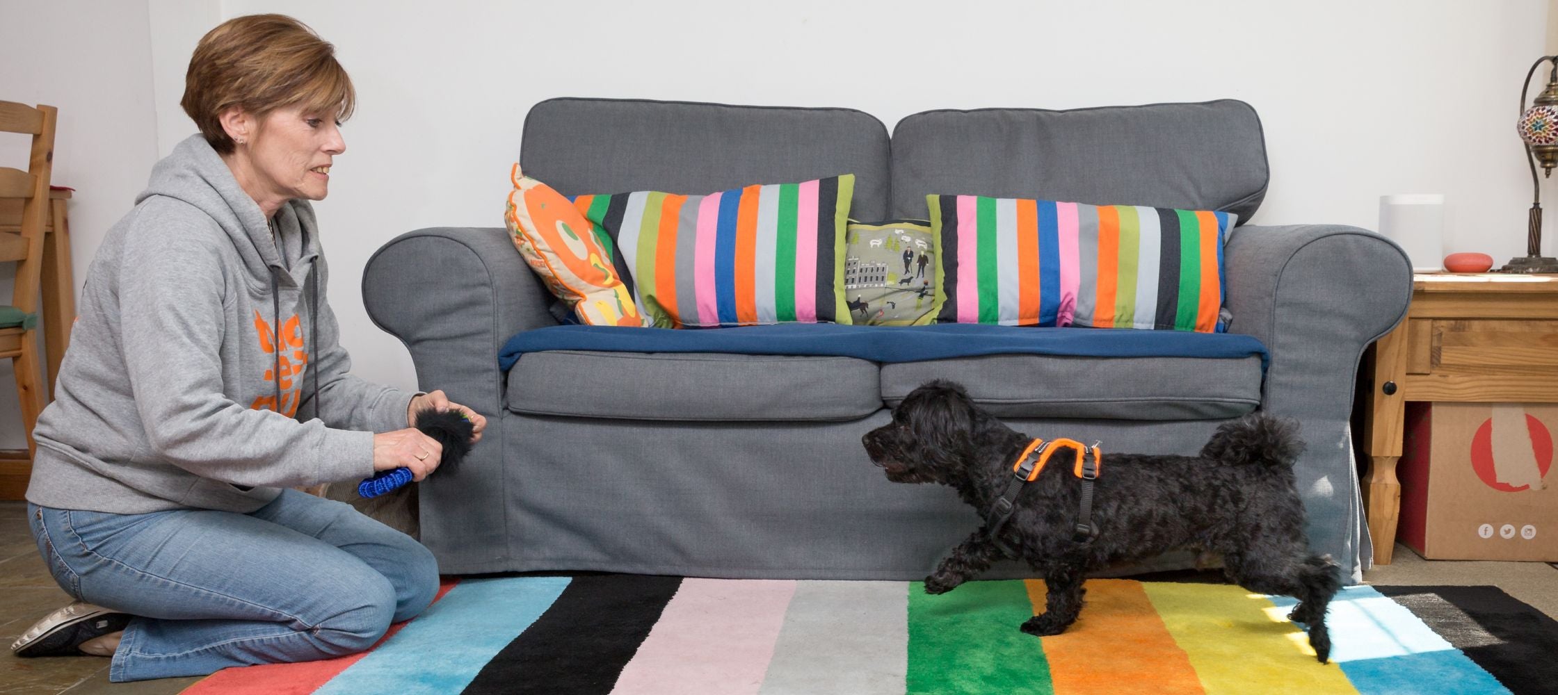 6 Boredom Buster Toys for Dogs