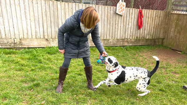 Tug-E-Nuff visiting rescue to donate dog toys