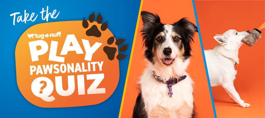 Image of two dogs with the caption take the play pawsonality quiz