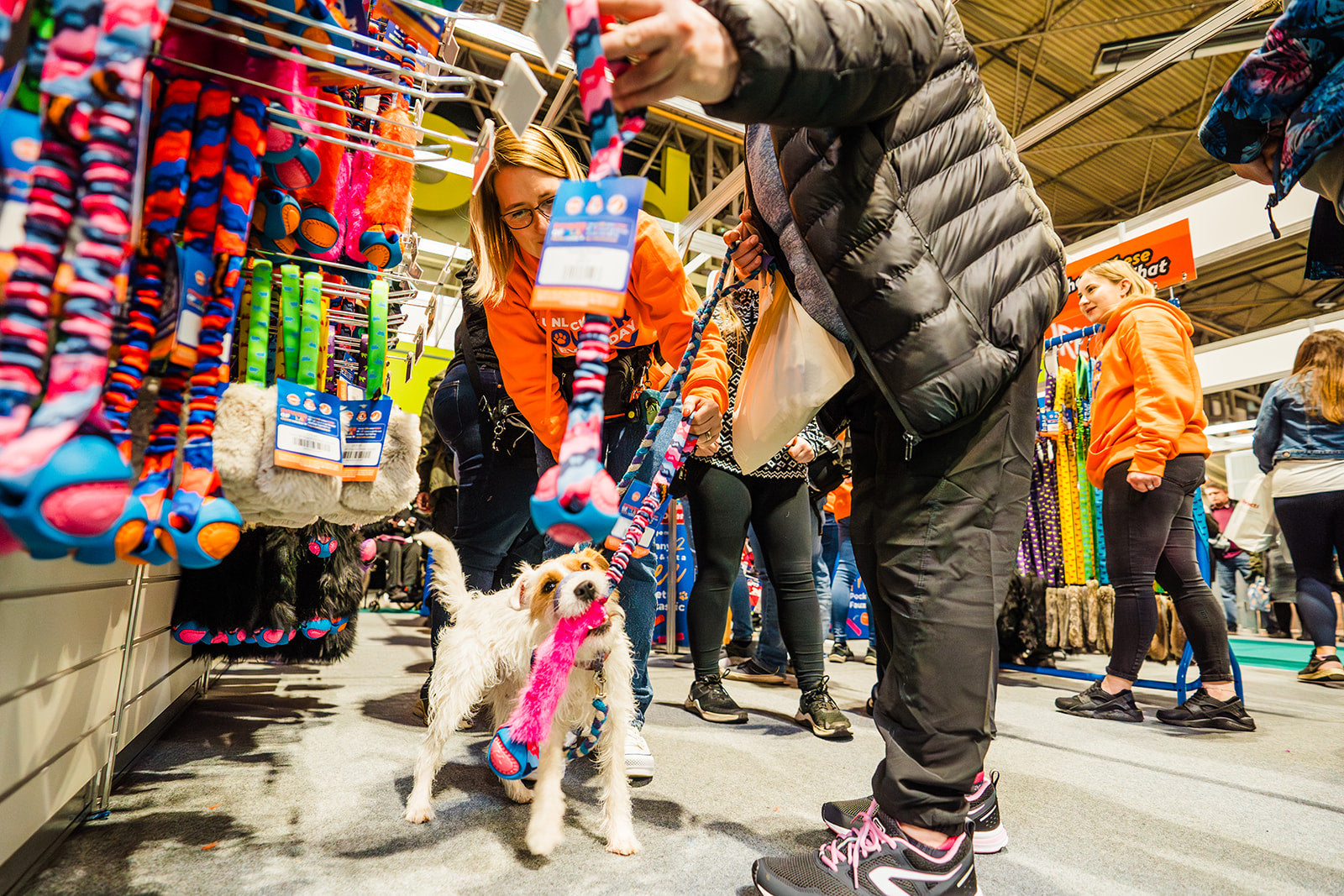 best dog toys at crufts