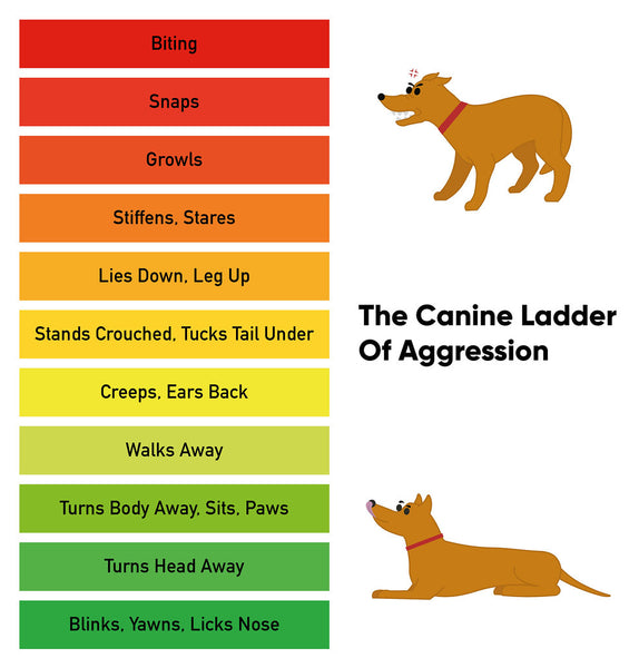 dog aggression ladder