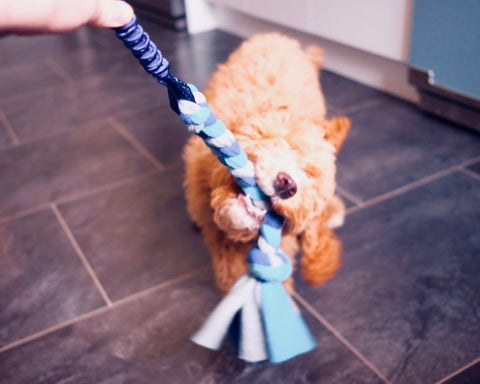 puppy toy with long handle