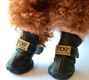 snow boots for dogs that stay on