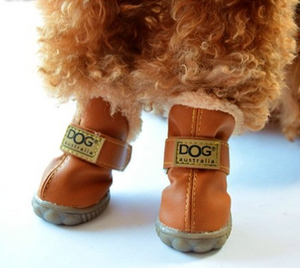 Dog Australia Boots – K9 Couture Inc.