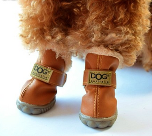 dog uggs