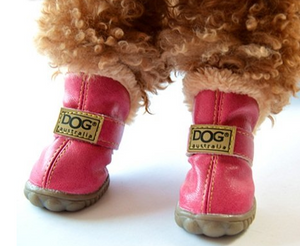 Dog Australia Boots – K9 Couture Inc.