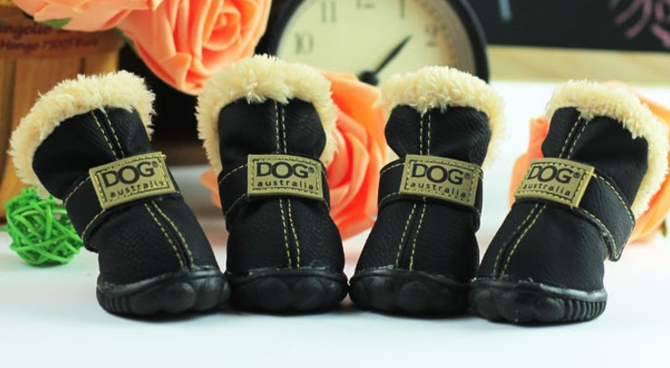 uggs for dogs