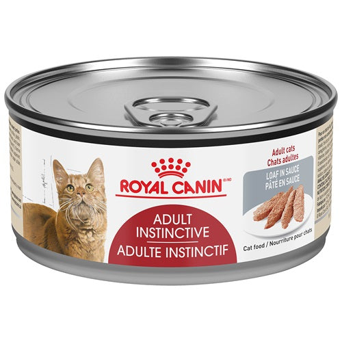 royal canin instinctive cat food